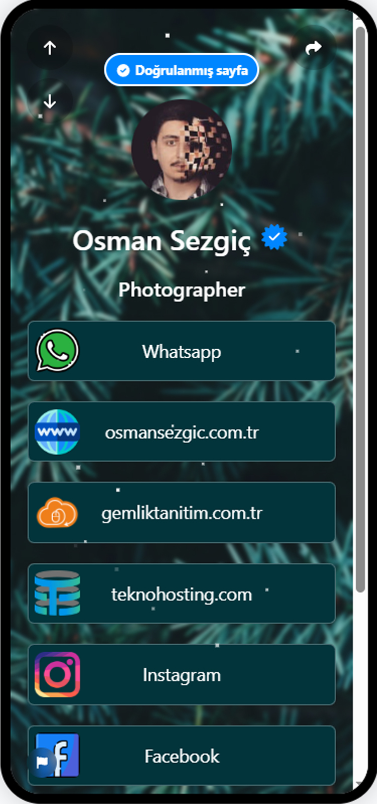 Biolink sayfa örneklerinin ekran görüntüsü