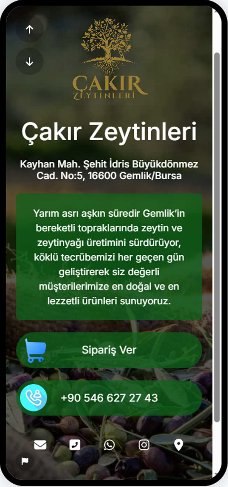 Biolink sayfa örneklerinin ekran görüntüsü